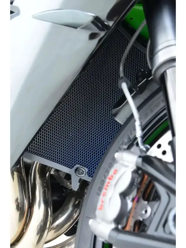 Wysoka jakość Osłona chłodnicy R&G Racing Suzuki GSX-R 1000 (09-17) tytanowa